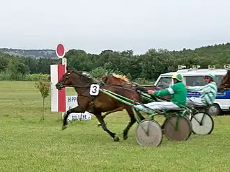 Image illustrative de l’article Hippodrome de la Levade