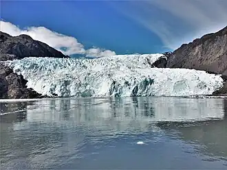 Front du glacier Holgate.