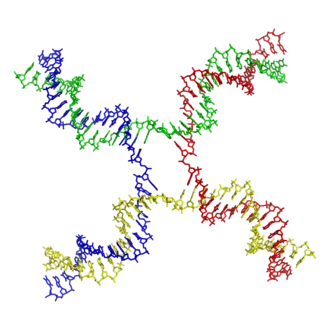 Jonction de Holliday (PDB 3CRX).