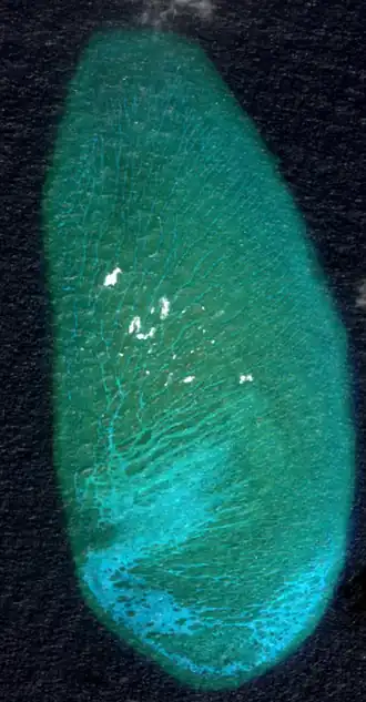 Image satellite du récif Hopkins prise par la NASA.