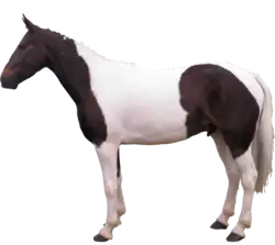 Description de cette image, également commentée ci-après