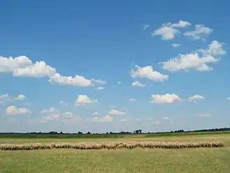 Image illustrative de l’article Alföld