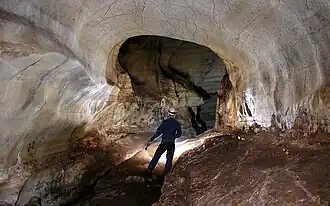 Intérieur de la grotte de l'Hortus.