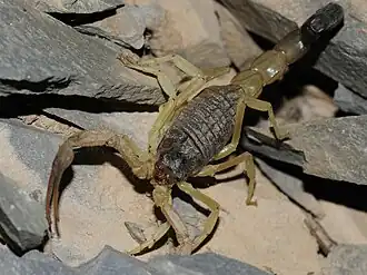 Description de cette image, également commentée ci-après