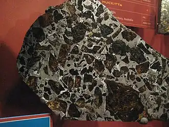 Image illustrative de l’article Pallasite