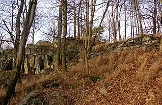 Ruines du fort de l'âge du Fer.