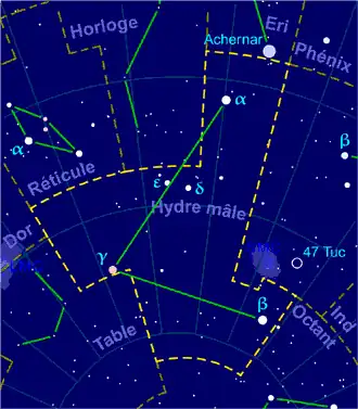 Image illustrative de l'article Hydre mâle