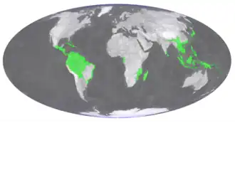 Description de l'image Hymenophyllum polyanthos distribution.png.