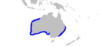 Description de l'image Hypnos monopterygius rangemap.png.