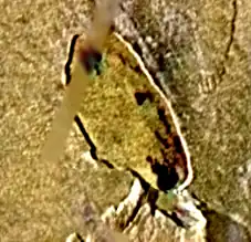 Image illustrative de l'article Estan Patera