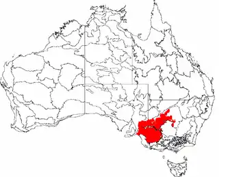 Description de l'image IBRA 6.1 Murray Darling Depression.png.