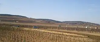 Image illustrative de l’article Beaune (AOC)