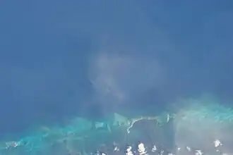 Cayo Jutías et baie de Santa Lucía