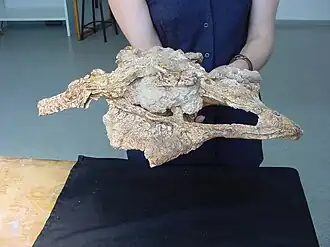 Description de cette image, également commentée ci-après