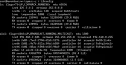 Description de l'image Ifconfig example screenshot.png.