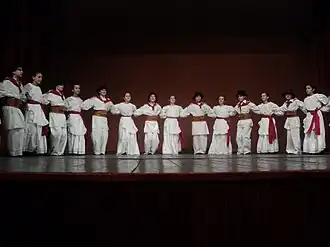 Image illustrative de l’article Kolo (danse)