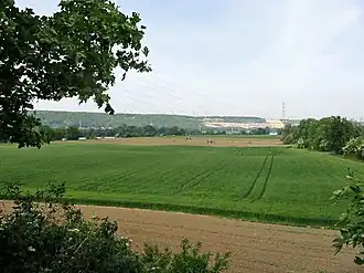 L'île de Rangiport, vue vers l'aval.