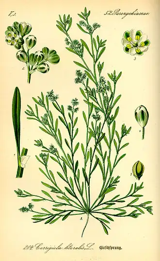 Description de cette image, également commentée ci-après