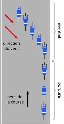 Vue schématique aérienne de la disposition de l'éventail et de la bordure. Les coureurs de déplace vers le haut de l'image en suivant la route. Des fléches indiquent la direction du vent, qui vient du coin en haut à gauche de l'image. Les coureurs à l'arrière du groupe, dans la bordure, sont collés au bord droit de la route. À l'avant les coureurs sont échelonnés, du côté gauche de la route à l'avant, au côté droit de la route, en arrière.