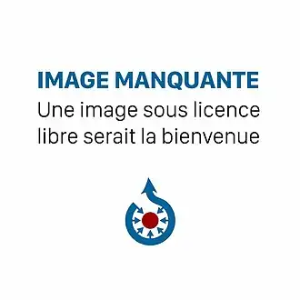 Description de l'image image manquante.jpg.