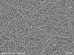 Image illustrative de l’article Imogolite