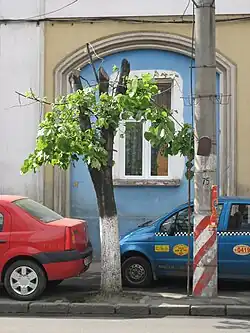 Dans la rue Calea Moţilor