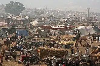 Foire aux chameaux de Pushkar.
