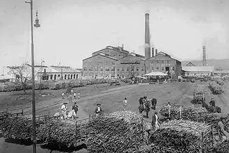 illustration de Ledesma (entreprise)