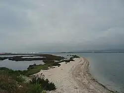 Vue de l'étang d'Ingril Sud à proximité du quartier du grau