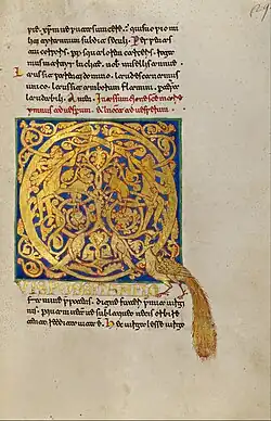 Lettrine d'une enluminure du XIIe&nbsp;siècle, formée par un entrelacs de cordons qui est en même temps un rinceau peuplé de figures humaines et animales. Le paon reste aussi une figure très présente tout au long du Moyen Âge.