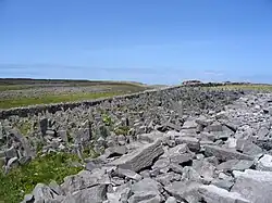 Chevaux de frise autour du fort.