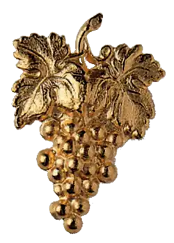 Grappe de raisin dorée.