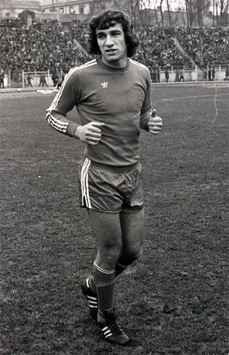 Image illustrative de l’article Ionel Augustin