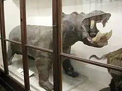 Hippopotame de Boboli.