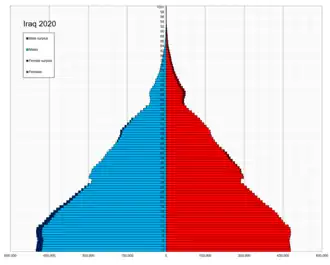 Pyramide des âges de l'Irak en 2020