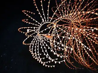 Iridigorgia sp., un Chrysogorgiidae