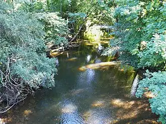 L'Isle (vue vers l'aval) au pont de Glane.