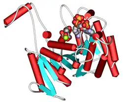 Description de cette image, également commentée ci-après