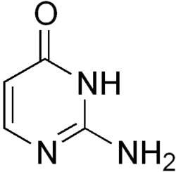 Image illustrative de l’article Isocytosine