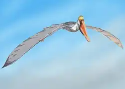 Restauration artistique d'un individu volant.