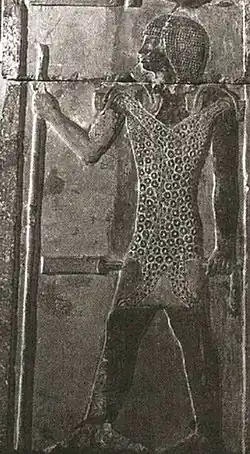 Image illustrative de l’article Iynefer