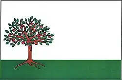 Drapeau de Jabloňov