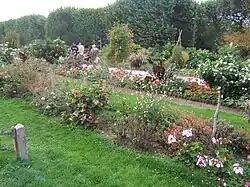 Jardin des plantes de Paris