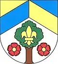 Blason de Jarov