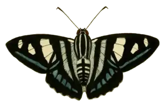 Description de cette image, également commentée ci-après