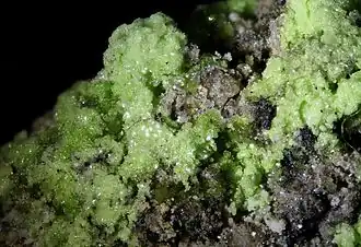 Image illustrative de l’article Johannite