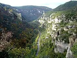 Gorges de la Jonte