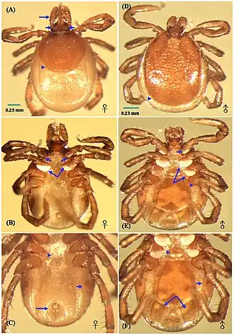 Description de l'image Journal.pone.0110599.g001.jpg.