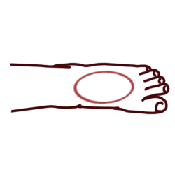 Haisoku, dessus du pied.