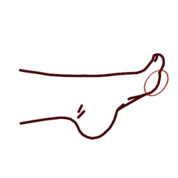 Koshi, partie avant de la plante du pied (juste avant les orteils)